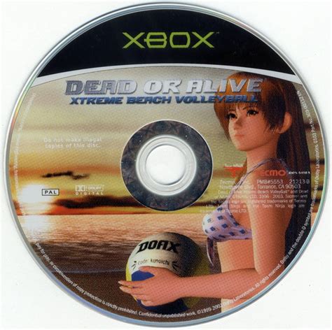 dead or alive beach volleyball|Dead or Alive Xtreme 3 .